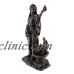 Hestia Greek Goddess of Hearth, Family, & Home Statue Sculpture Figurine Decor   332403506578